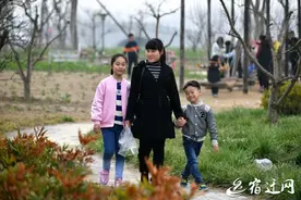 和春天来一次亲密接触！这些宿迁人“城会玩”图片