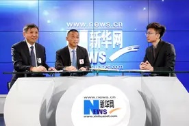 金正大集团CEO白瑛：“百千亿行动”让亲土种植在中国落地图片