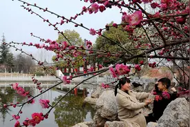 南阳遍地花似锦 鲜花经济促增收图片