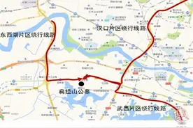 本周末武汉首迎扫墓高峰，交警发布预警和全城扫墓线路图图片