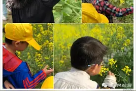 拥抱春天 绘出童心——鹤琴幼儿园中七班幼儿油菜花写生活动图片