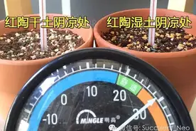 事实胜于雄辩 —— “桑拿效应”？图片