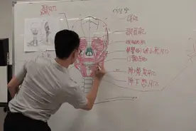忘带教科书，直接在黑板画人骨结构图图片