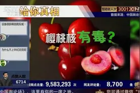[中国舆论场]给你真相！樱桃核毒晕人？是真的吗？视频封面