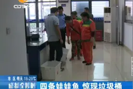 垃圾桶捡到“宝贝” 一下还捡四个图片