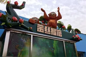 开馆啦！金丝猴馆喜迎四方游客！图片