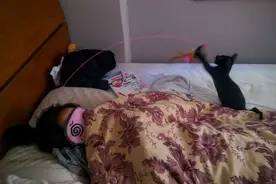 回家就看见睡着的女友正在陪猫咪玩逗猫棒，这创意我给101分图片