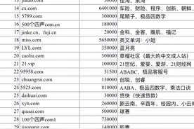史上最大规模 2016全球域名峰会现场拍卖列表图片