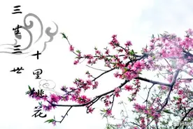 三生三世十里桃花，你的桃花在何处？图片