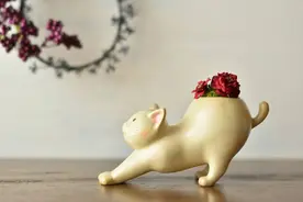 小小盆栽，圆你一个种植庄园的梦图片