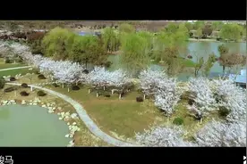 合肥“海棠花海”文化休闲旅游景区春色美如画视频封面