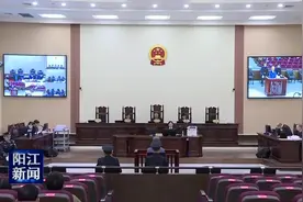 阳江市委原副秘书长许培业受贿案公开审理视频封面