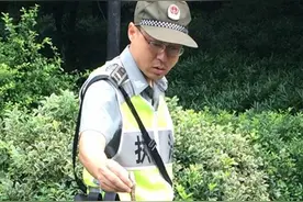 灵隐执法队员徒手抓蛇护卫游客图片