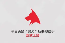 今日头条“灵犬”反低俗助手，帮助网民检测低俗信息图片
