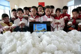 用特殊的方式缅怀 少先队员自制白花 网上祭英烈图片