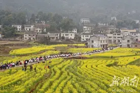 莲城风景美如画 踏青何必去远方图片