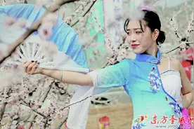 九顶山下千亩桃花竞相开放图片