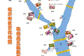 临沂市区赏花地图 带你遇见最美春天图片