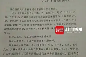 深圳“鹦鹉案”终审宣判 售养者刑期5年变2年图片