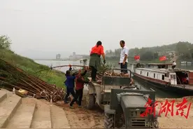 清明节，村民植树祭先人图片