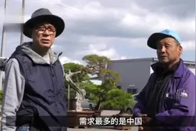 大手笔！马云花1000万日元在日本买盆栽，国内富豪出手吓到日本人视频封面