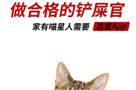 做合格的铲屎官 家有喵星人需要这些App图片