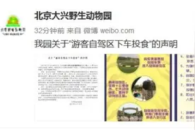 北京野生动物园证实游客下车砸熊 呼吁安全游园图片