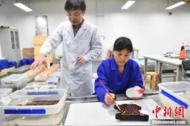 成都双元村春秋战国墓葬群出土的6件青铜器集体亮相图片