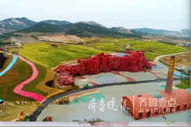 青岛西海岸再现油菜花海，春色满园迎客来图片