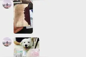请问狗肉怎么做比较好吃图片