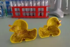 赶紧扔掉！洗澡时给孩子玩的橡皮鸭内表面全是细菌，挤压会释放浑浊液体图片