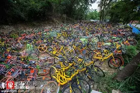 南宁不少地方出现“共享单车坟场”，实为乱停放暂扣场图片