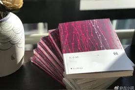 左小词新书《棘》：女性书写的艰难突围图片