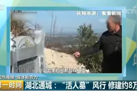 湖北通城：“活人墓”风行修建约8万座图片