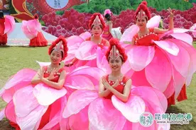 楚雄彝族自治州建州60周年大型文艺演出举行图片
