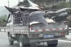 满满一车像巨型蝙蝠的“怪鱼”！网友们集体台州渔业部门：这货能吃吗？图片