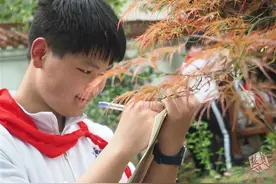 研学从身边开始，武汉中学生手绘自然笔记图片