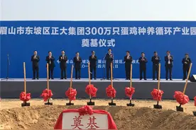 正大集团300万只蛋鸡种养循环产业园奠基仪式在东坡区举行图片