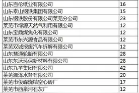莱芜这16家企业环境信用被挂“红标”！限产、停产直至关停图片