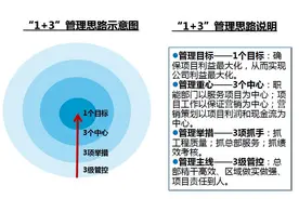 新进度计划体系管理办法解析(碧桂园集团)图片