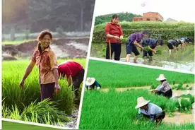 做过这些事情才算真正的湖南人！城里人看了肯定汗颜图片