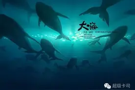 谈影说剧 大鱼海棠丨大鱼终于游过来了，但你还爱吗？图片