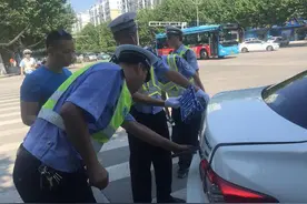“周末执法”查获“快拆”车牌   围观市民很吃惊图片