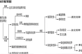 高考生物系列 生物总结九 生物的变异、育种与进化​图片