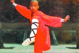 少林寺：王宝强的青葱岁月，格莱美跨国音乐大典来庆贺图片