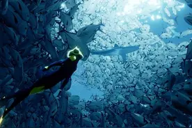 深海之旅 风之旅人精神续作《ABZU》评测图片