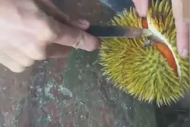 你见过果肉是红色的榴莲吗
