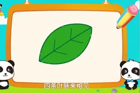 宝宝巴士之神奇简笔画—树叶的画法，记句子学方法，提高绘画能力视频封面
