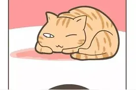防被咬 · 真 · Rua猫大法图片