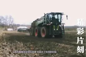 在农村农民把土地承包给别人种, 国家的补贴应该归谁? 快来看看吧视频封面